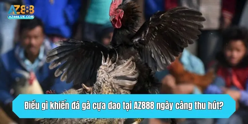 Điều gì khiến đá gà cựa dao tại AZ888 ngày càng thu hút?