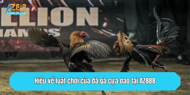 Hiểu về luật chơi của đá gà cựa dao tại AZ888