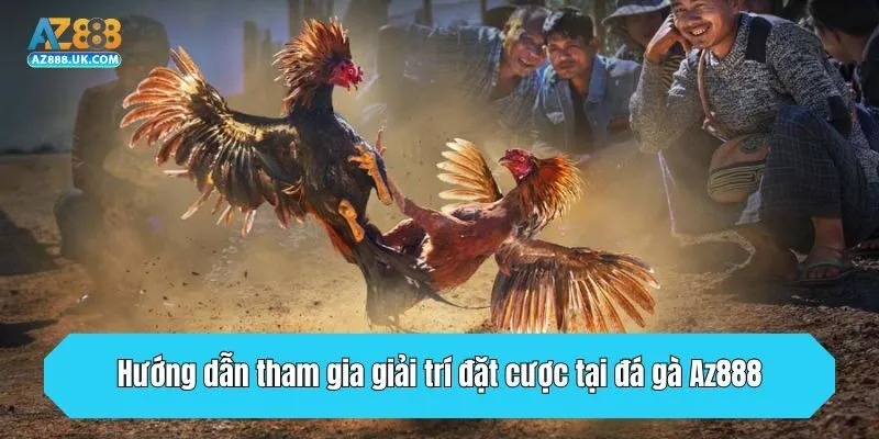 Hướng dẫn tham gia giải trí đặt cược tại đá gà Az888