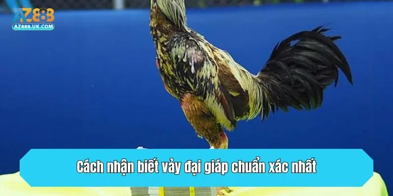 Cách nhận biết vảy đại giáp chuẩn xác nhất