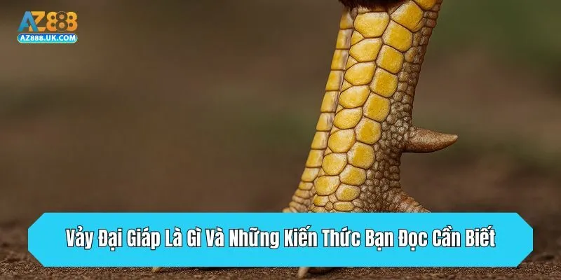 Vảy Đại Giáp Là Gì Và Những Kiến Thức Bạn Đọc Cần Biết