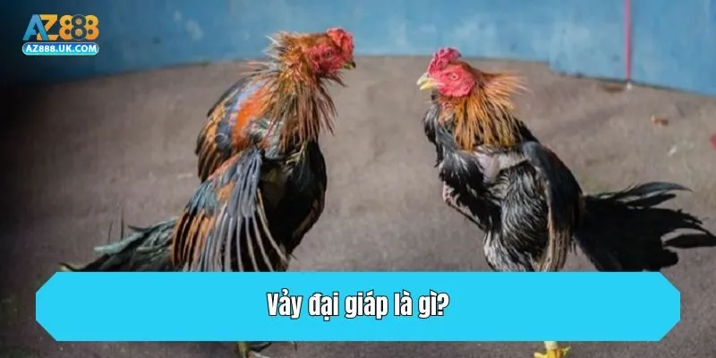 Vảy đại giáp là gì?