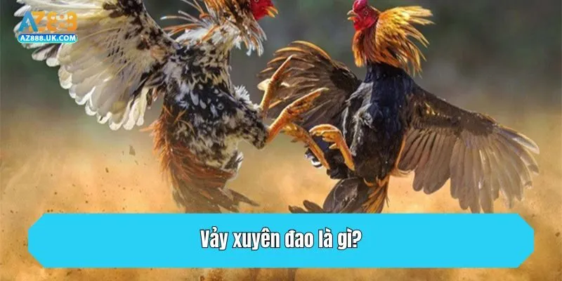 Vảy xuyên đao là gì?